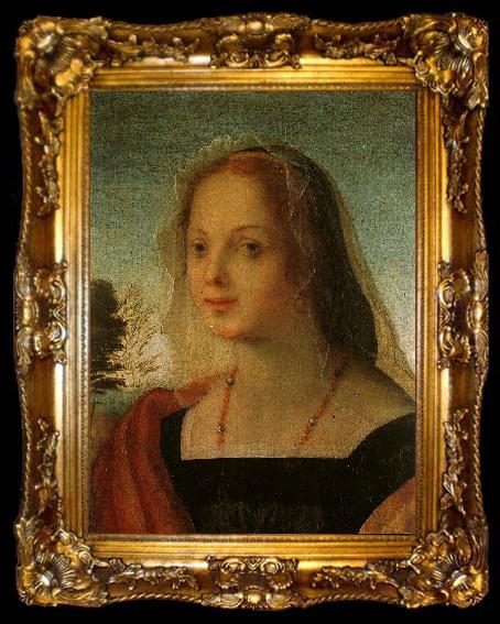 framed  Rosso Fiorentino Portrait of a Young Woman, ta009-2